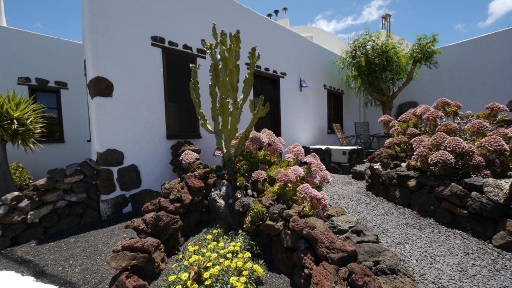 Finca Lanzarosy 3