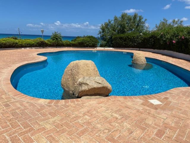 une petite piscine entourée d'un rocher dans l'établissement Villa Benedetta, à Parghelia