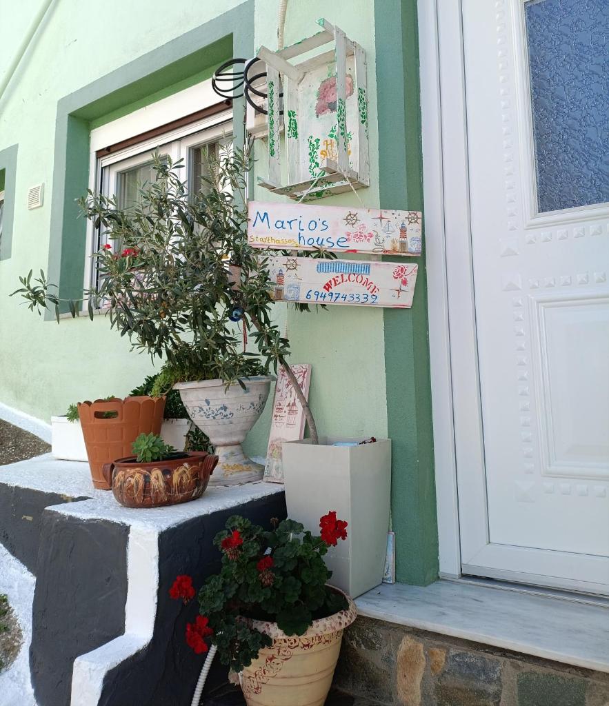 Mario's house 1