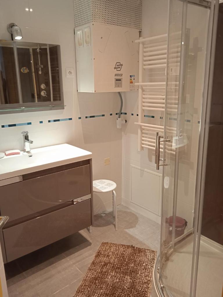 une salle de bain avec douche et lavabo dans l'établissement Résidence Maurice, à Ax-les-Thermes 9 autres photos