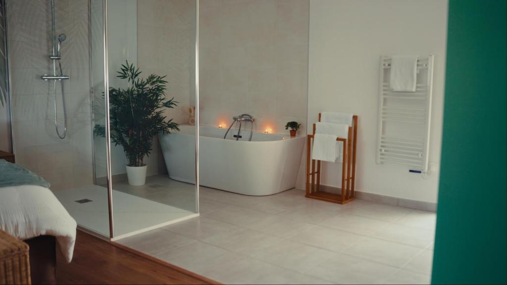 Le Spa SAJ 3