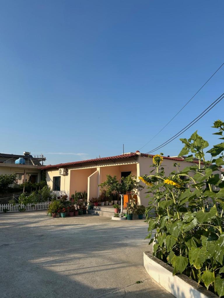 Rental Houses Dukaj 1