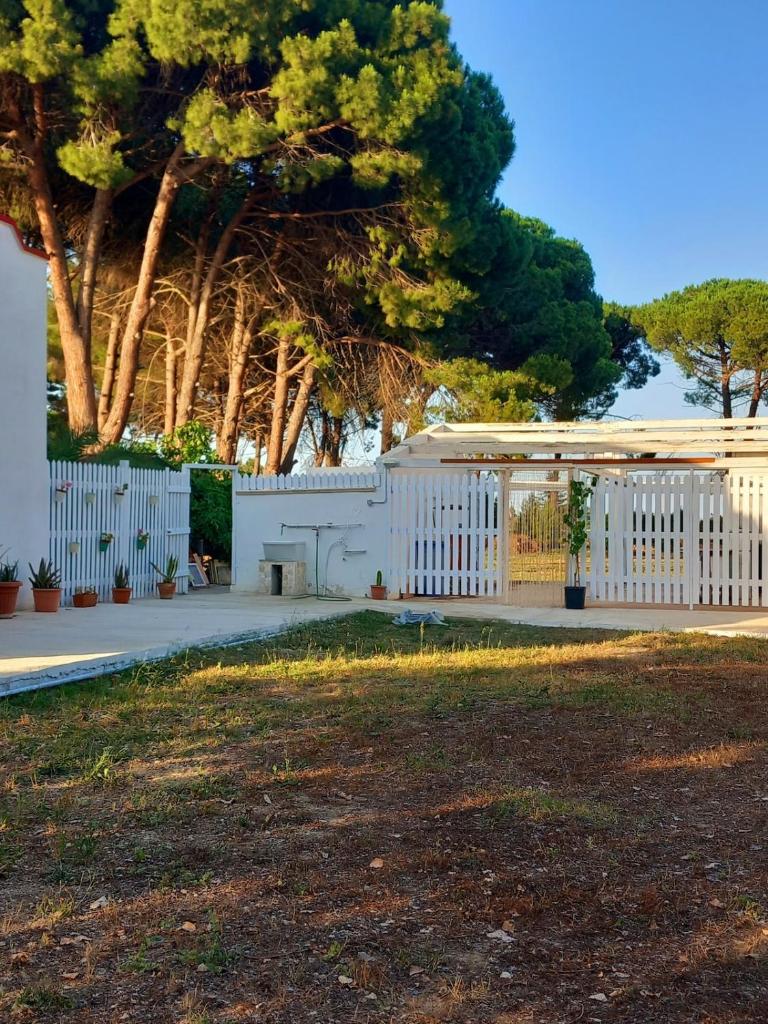 Dimora Montenegro 6