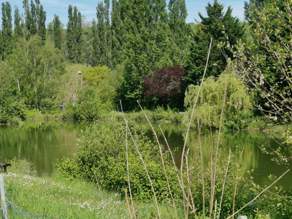 une masse d'eau avec des arbres à l'arrière-plan dans l'établissement Mobilhomes 6 & 4 pers à Ivry La Bataille Clim TV Wifi terrasse & confort Paris Eure Gestion, à Ivry-la-Bataille
