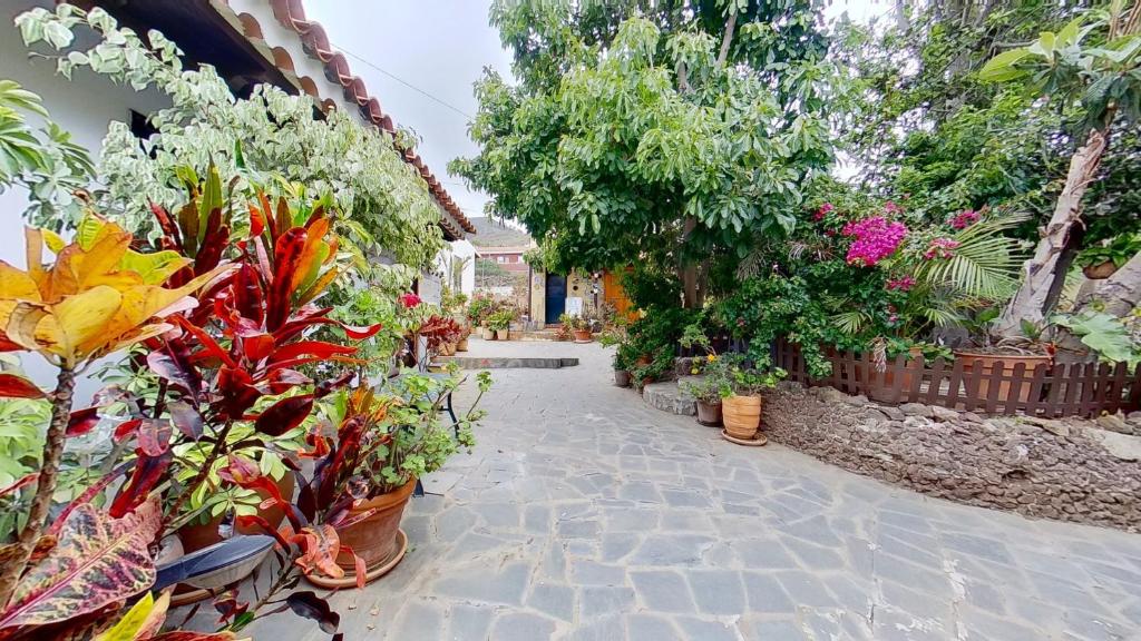 Finca Paraiso Casa Rural Tenerife Ecoturismo 8