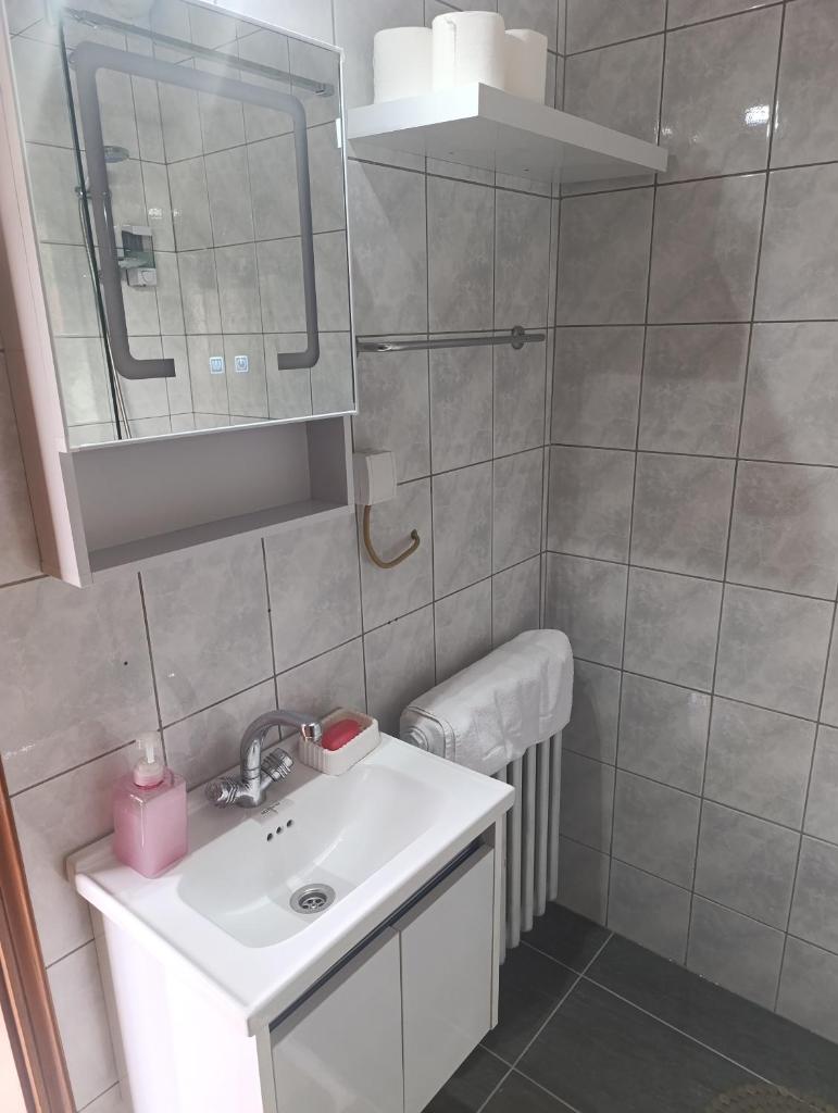 Apartment SAFIR - Free parking 3