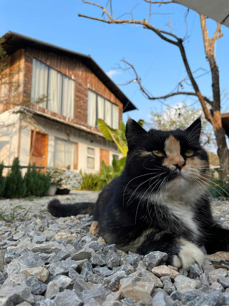 Retro House Mộc Châu