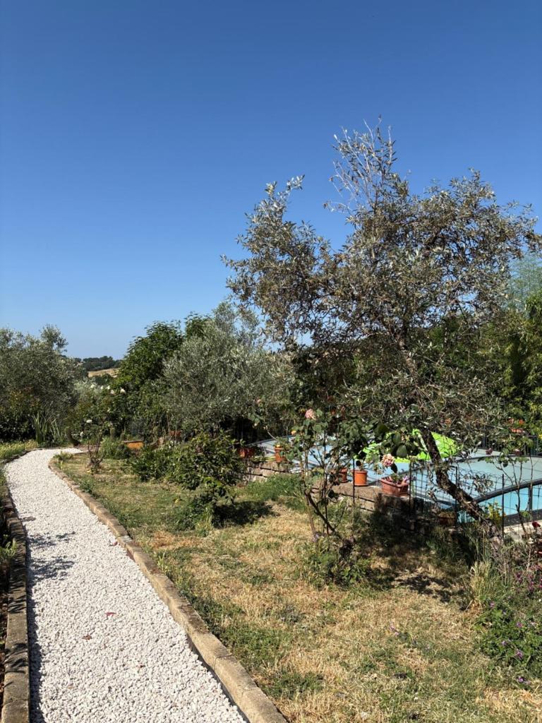une route en gravier à côté d'une masse d'eau dans l'établissement Villa Collina, à Sorano