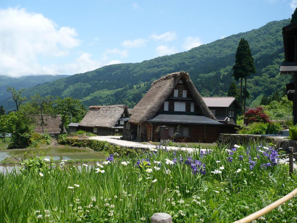 une maison avec un toit de chaume et un champ de fleurs dans l'établissement Gokayama Onsen Akaokan, à Nanto