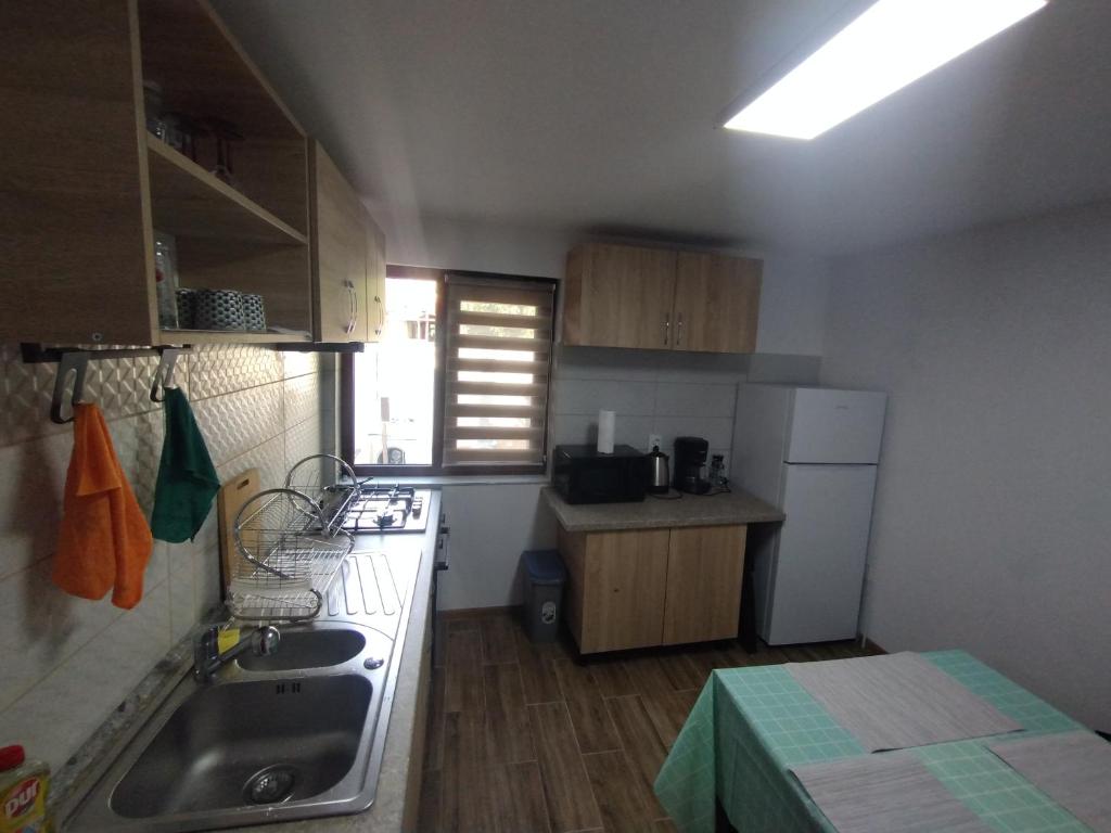Casa Oana 4