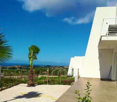 un palmier devant un bâtiment blanc dans l'établissement Giardino degli Allori, Villa Manfredi with Pool, à Castellammare del Golfo