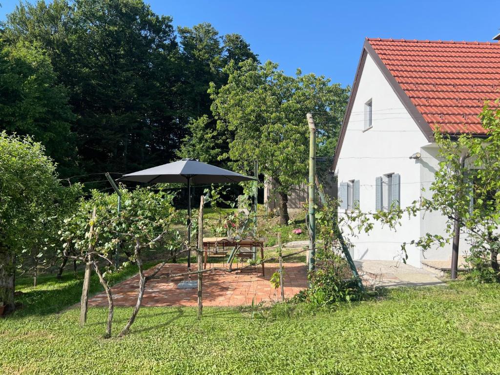 Maria's Orchard Cottage - Nature Retreat in Slovenia 7