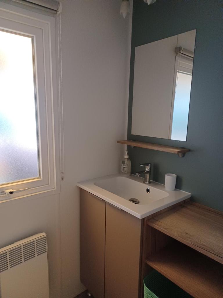 une salle de bain avec un lavabo et un miroir dans l'établissement Mobil Home 710 Bora Bora 3 chambres, à Gastes