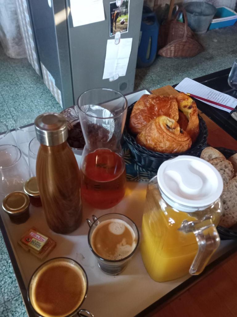 un plateau avec un plateau de nourriture et de boissons pour le petit-déjeuner dans l'établissement Tente au milieu des chevaux, à Mont