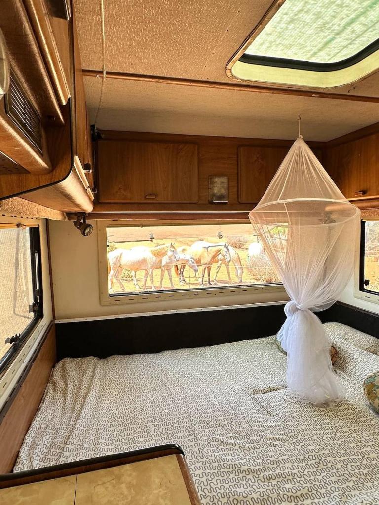 Pauls caravan for 4 - See the horses from your bed 7