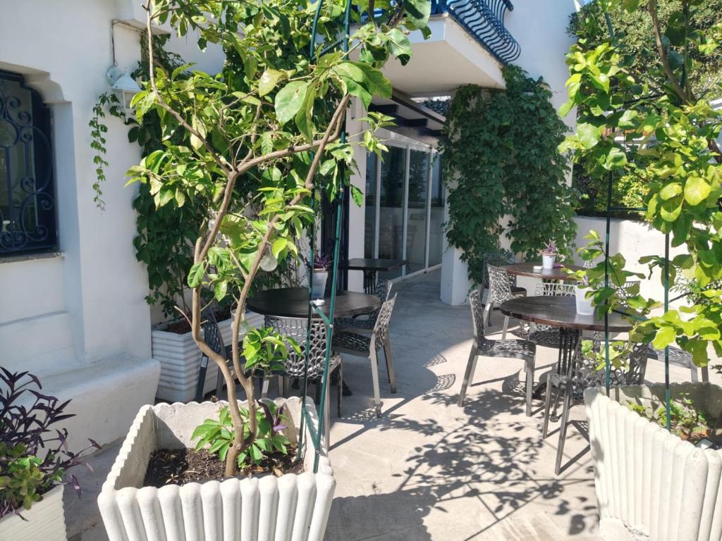 un patio avec une table, des chaises et des arbres dans l'établissement Meson Feliz, à Terracine
