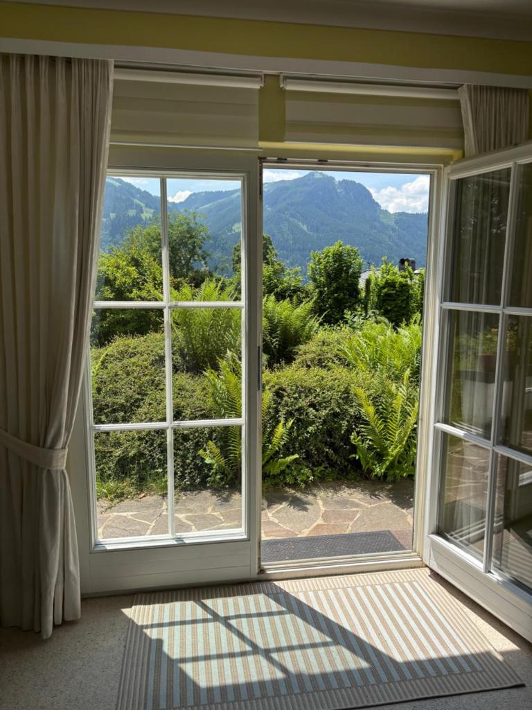 Bergblick 1