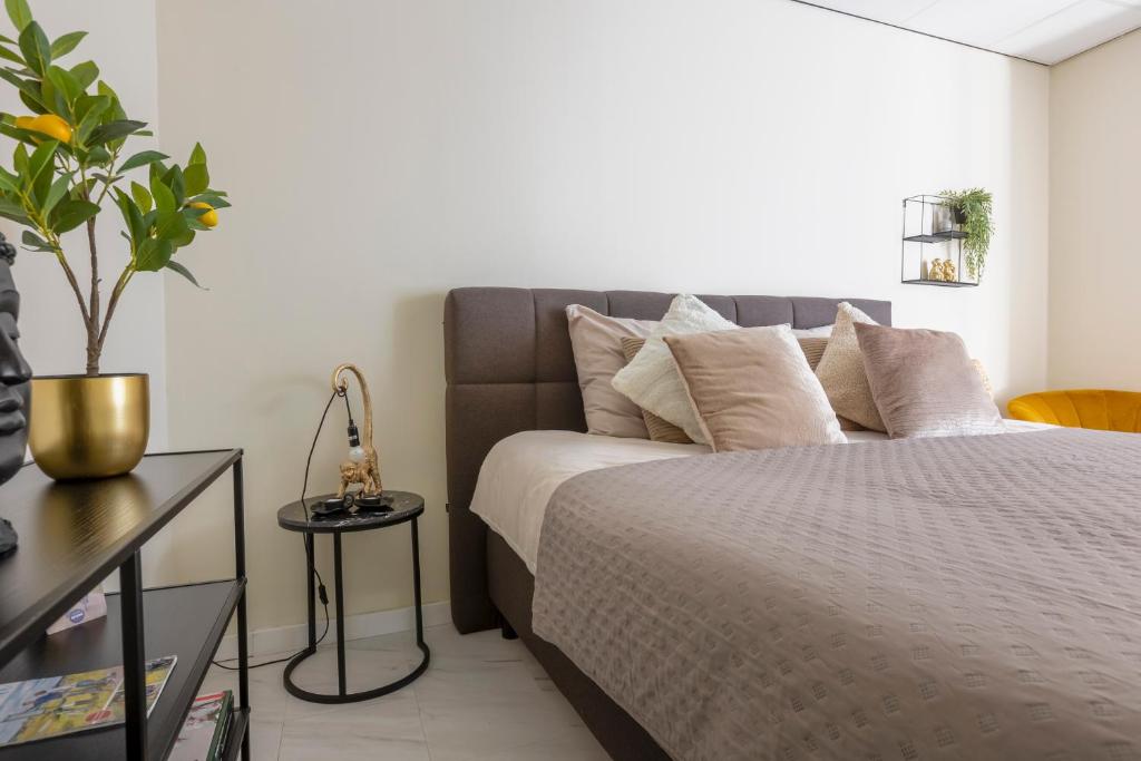 Wellness Studio Tiel met sauna en jacuzzi 2