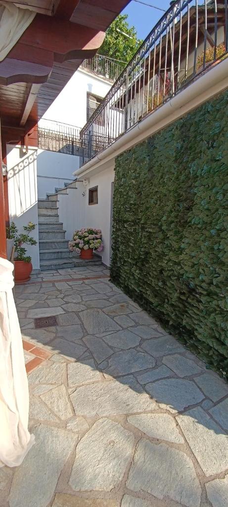 Hope Nest Pelion 8
