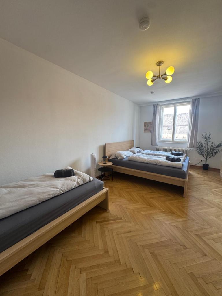 cozy big old town apartment 7