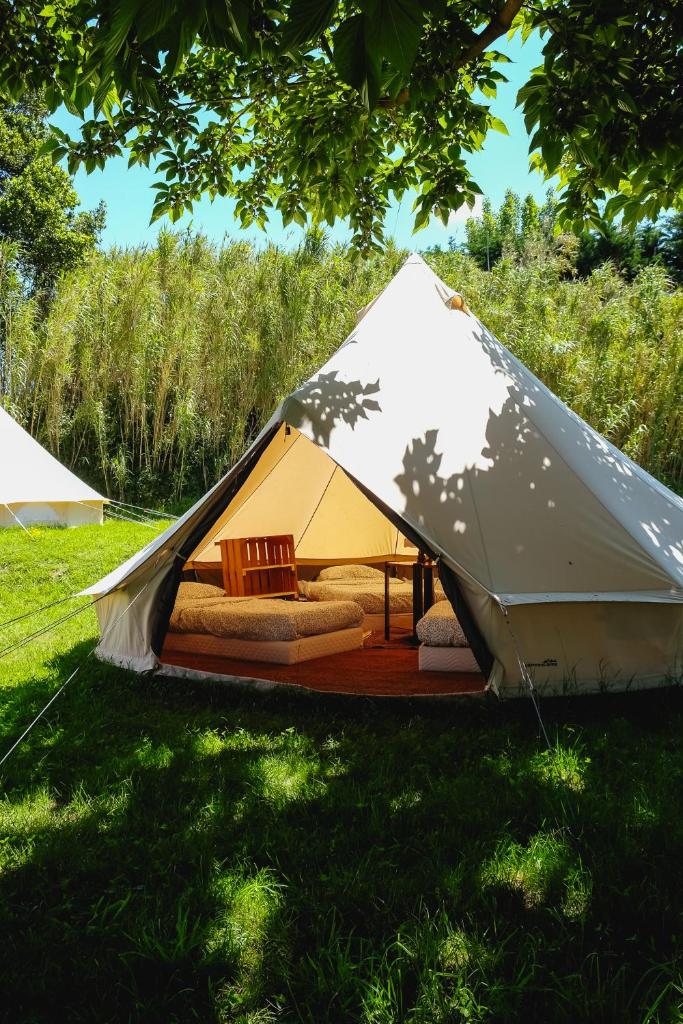 Tente dortoir partagée - Hegoa Surf Camp Pays Basque - Dorm - Compartida