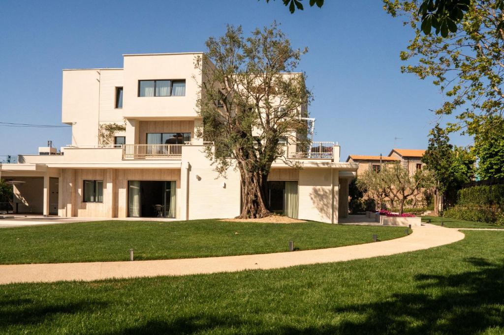 une maison blanche avec un arbre devant dans l'établissement Villa Verdeoro, à Montesilvano