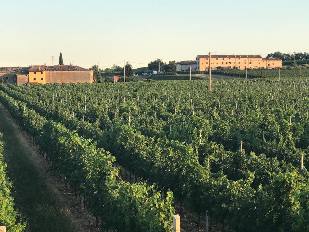 La grotta pastrengo 7