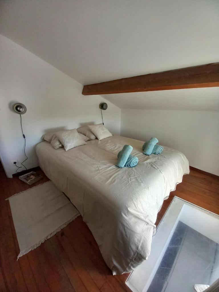 La Casa des Marais 4
