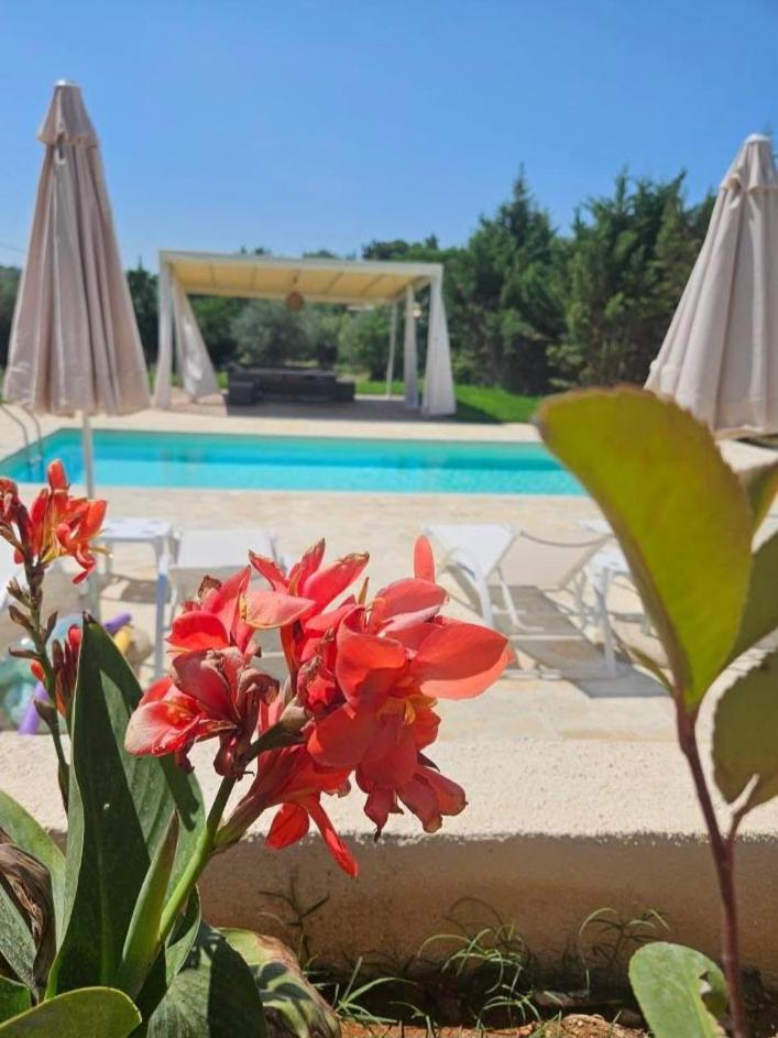 Sundial Houses - Pool & Garden 8
