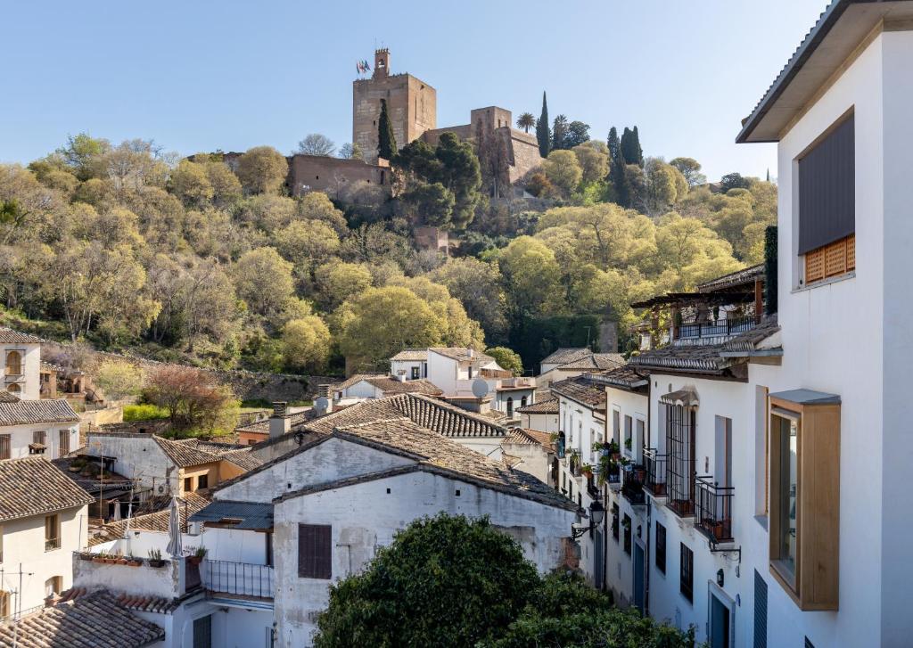 Mirador del Realejo 1