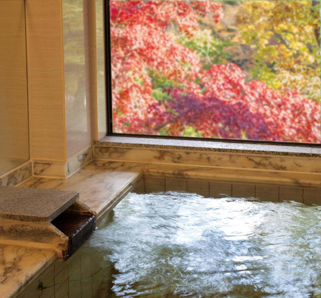 - une piscine d'eau dans une chambre avec fenêtre dans l'établissement Okutamaji, à Ome