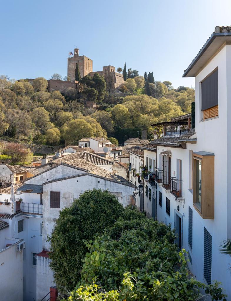 Mirador del Realejo 6