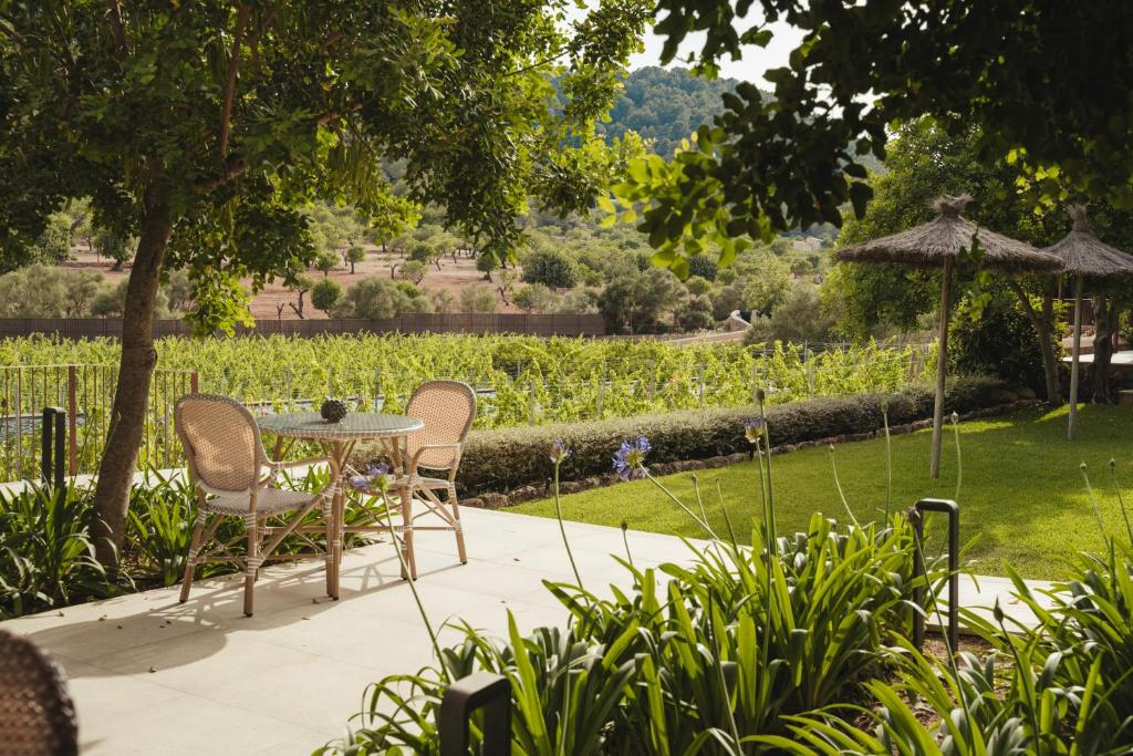 Rondaia, a Winery & Fincahotel-Agroturismo in Tramuntana 5