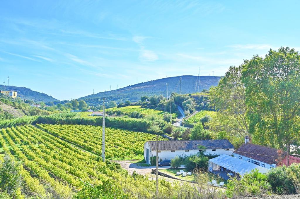 Quinta do Boição 5
