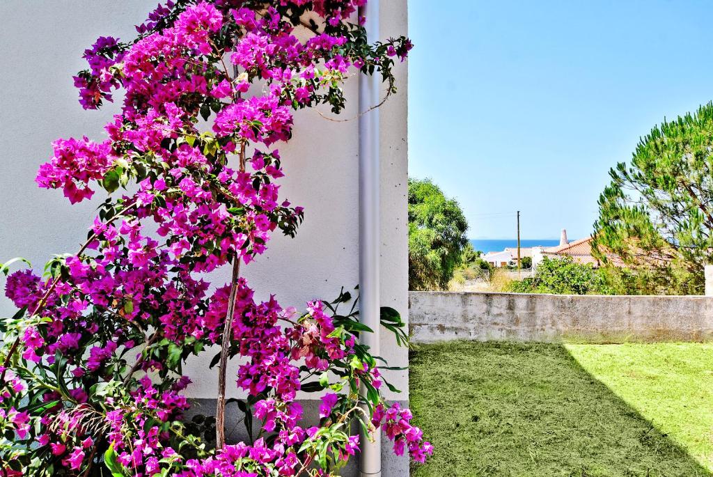 Villa Chiara 2