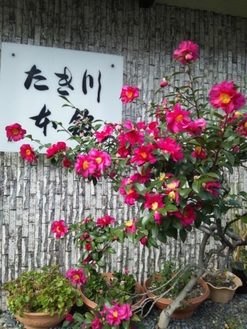 un groupe de fleurs en pots à côté d'un panneau dans l'établissement Takigawa Ryokan, à Kyoto