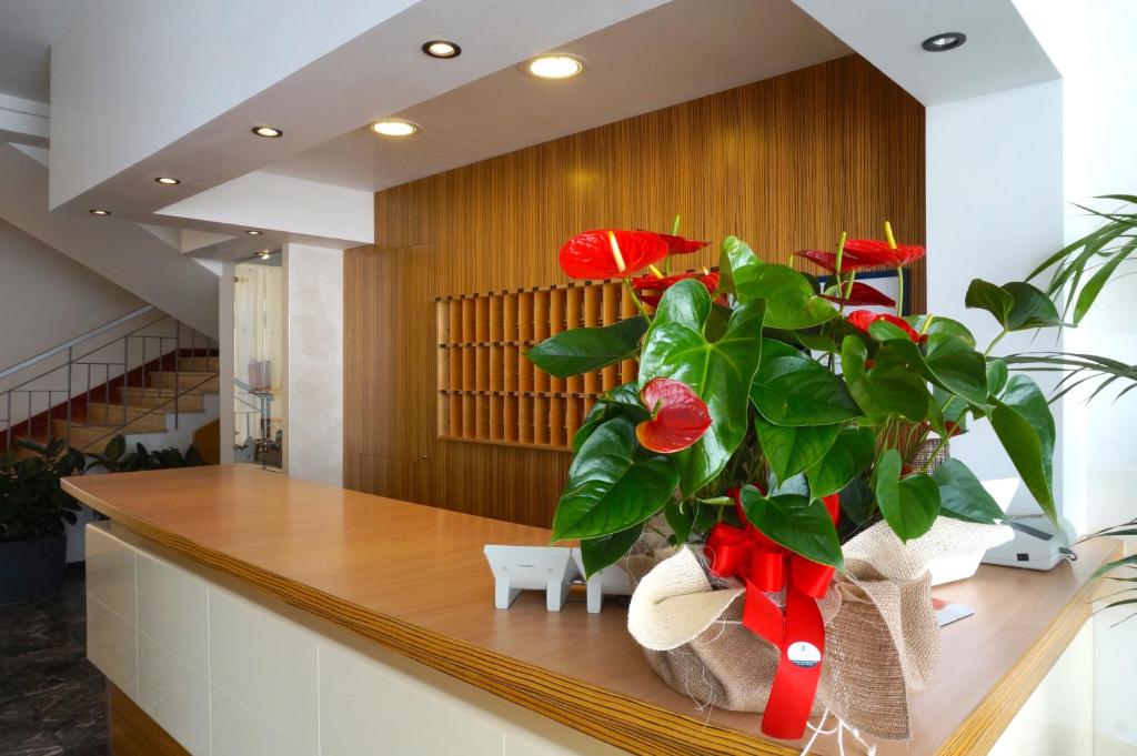 une usine assise sur un comptoir dans une pièce dans l'établissement Hotel Riviera, à Caorle