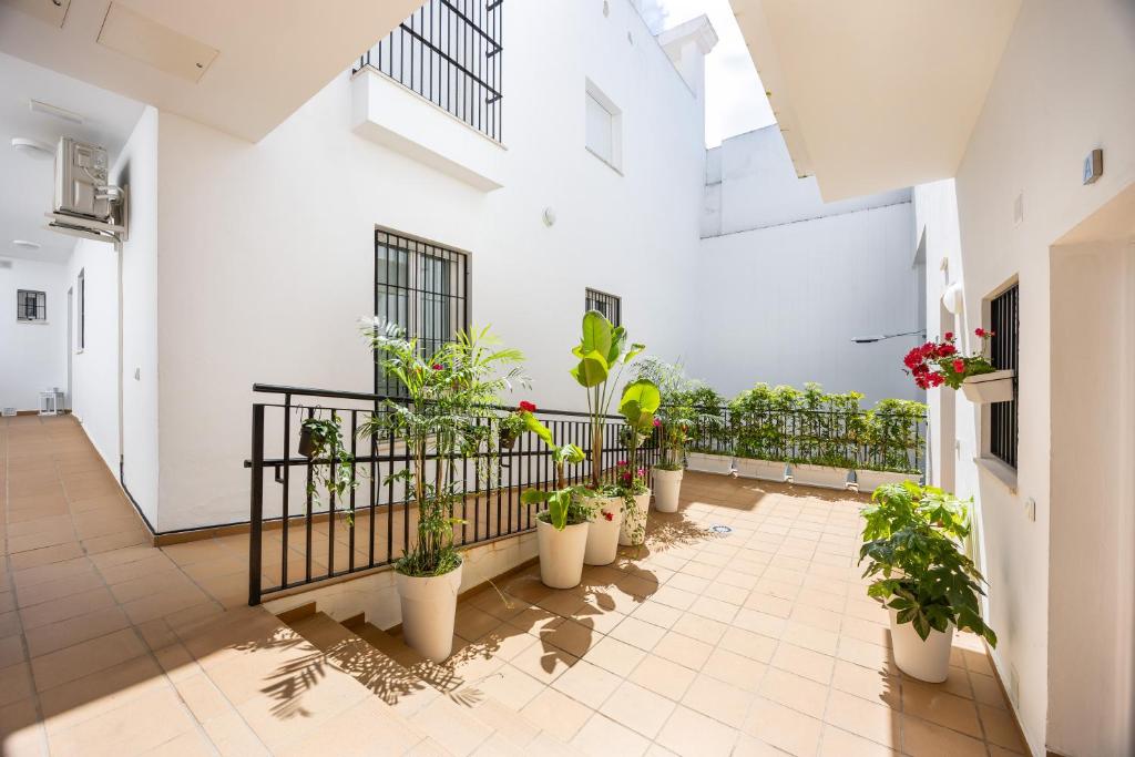 Brisa Jerez Suites 5