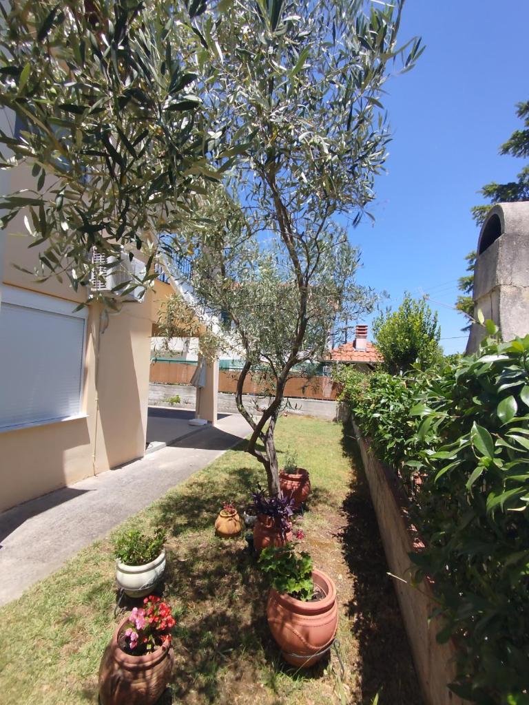 Accommodation Lydia 6