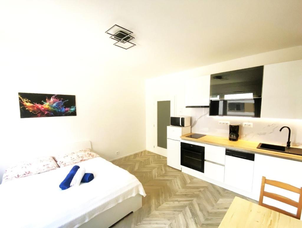 Apartment Brno Center 1