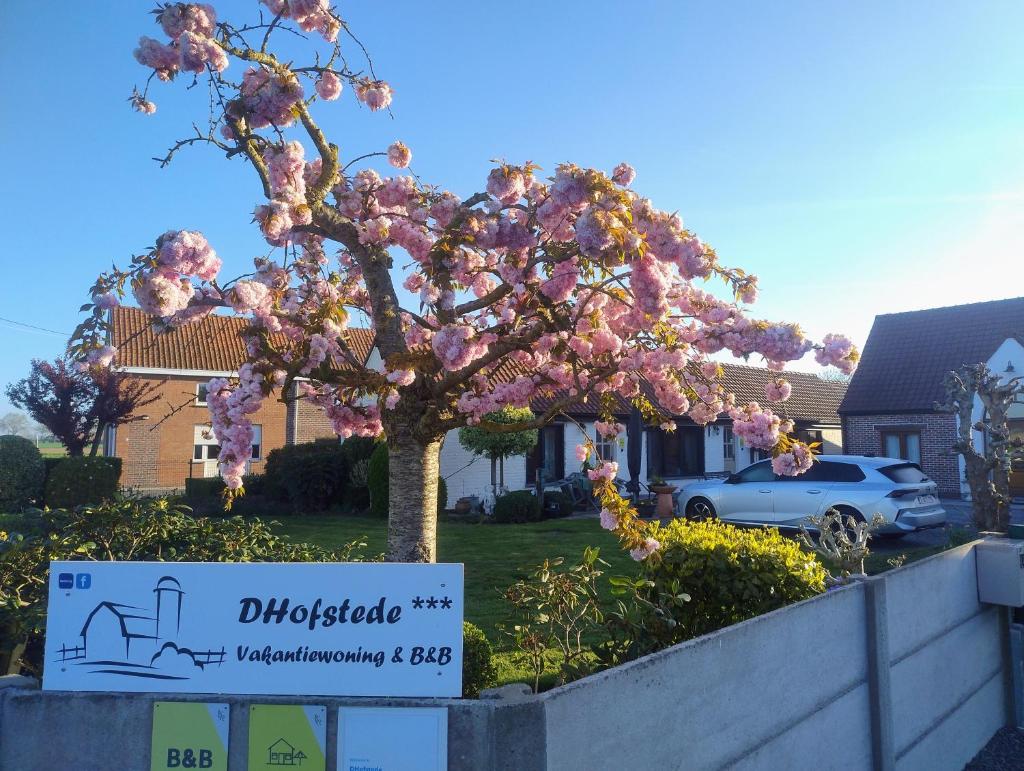 DHofstede vakantiewoning 1