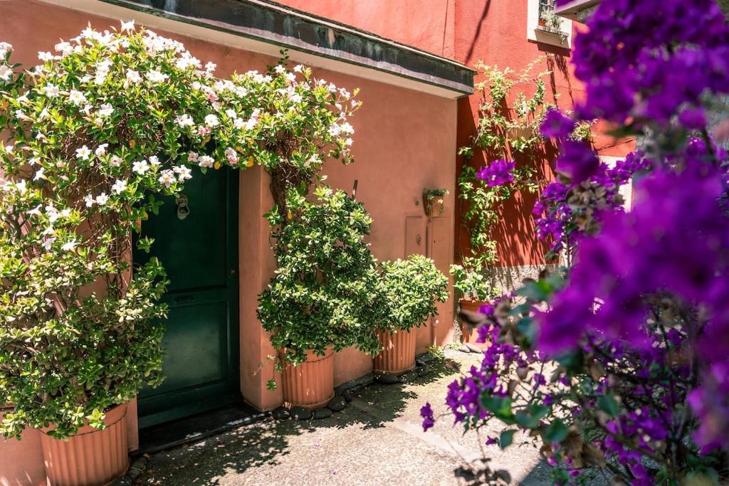 Casetta Rosa 5