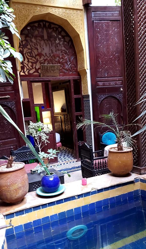 un groupe de plantes en pot assis à côté d'une piscine dans l'établissement Palais Al Firdaous, à Fès