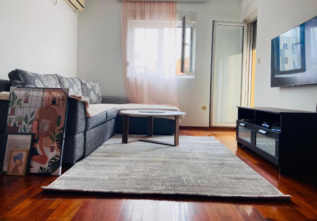 Cozy city apartment Podgorica 4