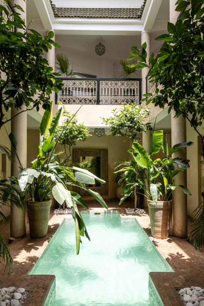 - une piscine dans une cour ornée de plantes dans l'établissement Riad O, à Marrakech