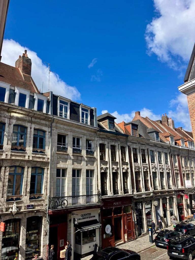 LILLEHOSTS 1, Vieux Lille, Newly renovated, Modern & Stylish apartment, perfectly located 4