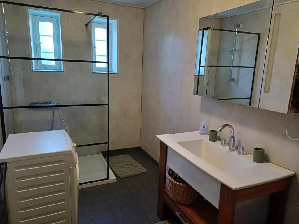 une salle de bain avec un lavabo et une douche dans l'établissement Gîte charme en pleine nature pour 6 pers - FR-1-489-565, à Saint-Félix