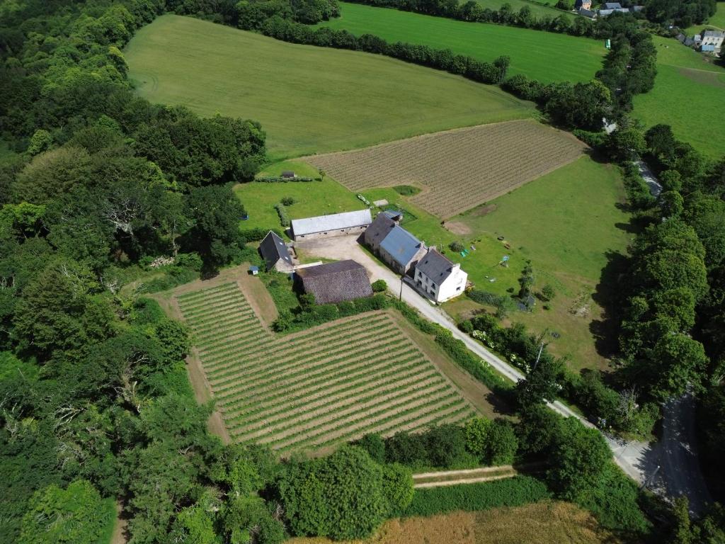 une vue aérienne sur une ferme située dans un champ dans l'établissement Tonneau bulle insolite, vue sur vignoble, à Pouldergat