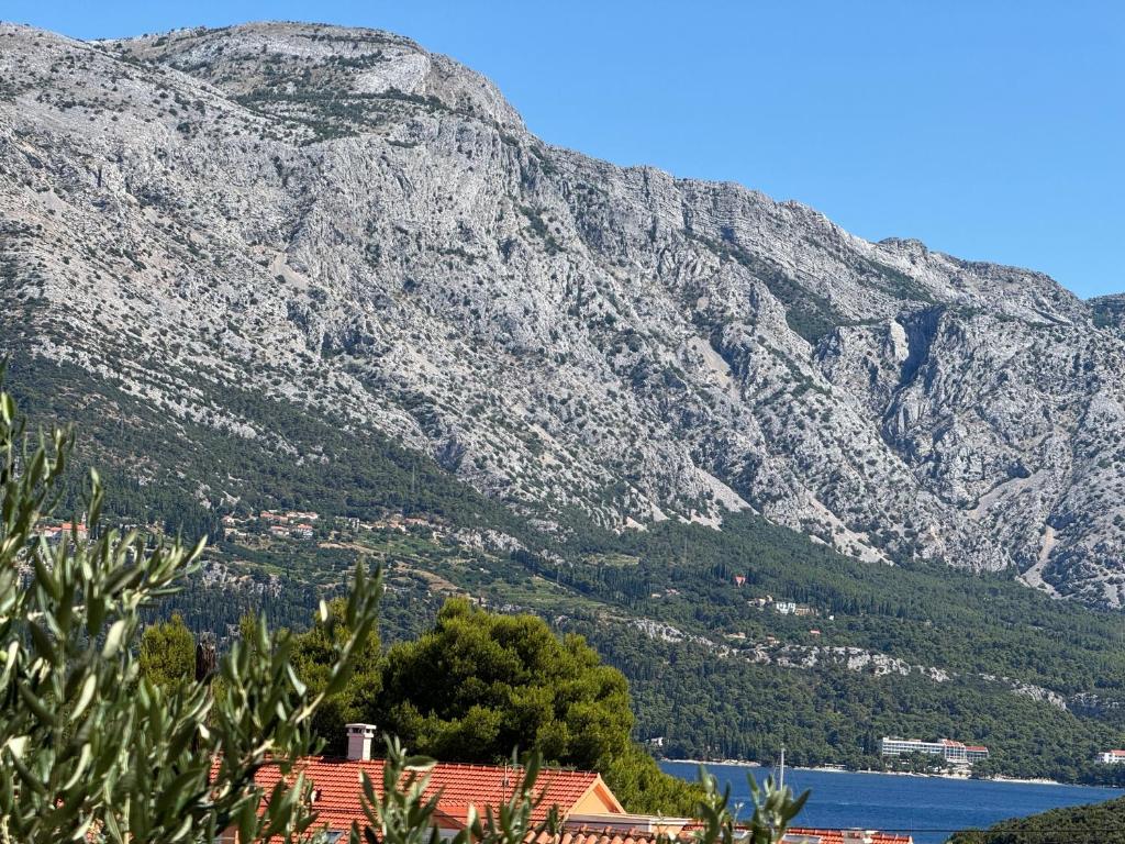 Villa Oliva Korcula 7