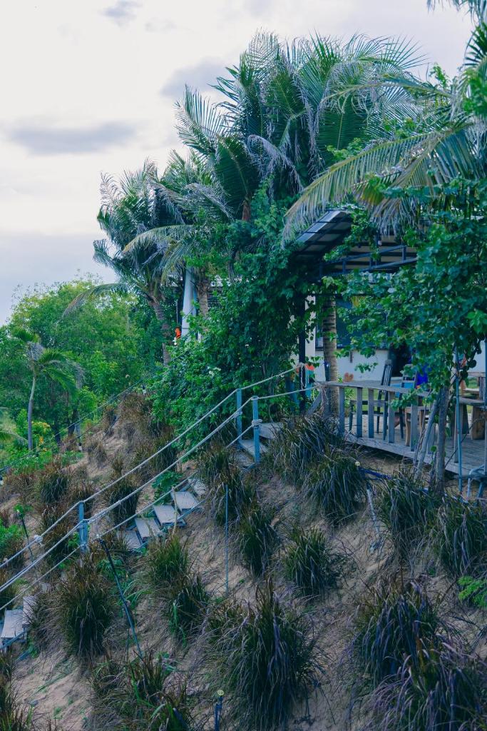 Peaceful Hill Homestay